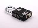 44 Delta Branded American Lock 1100 - A1106BLK (1.5